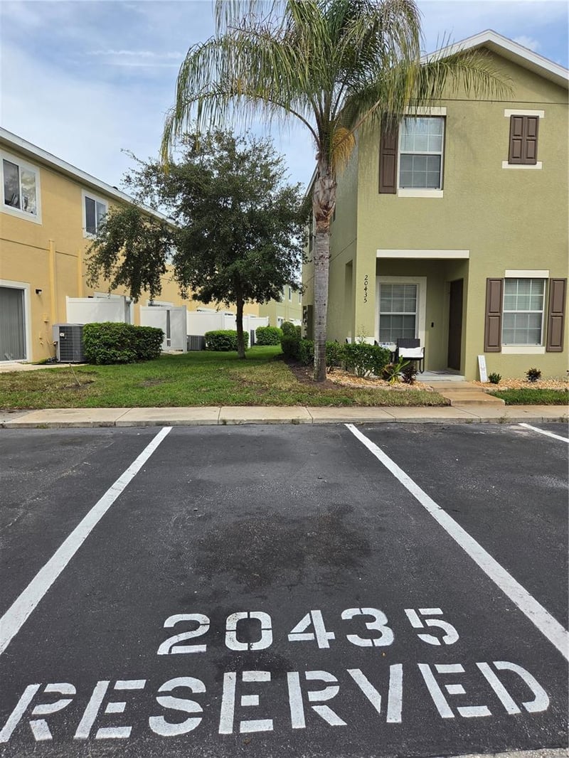 20435 Needletree Dr, Tampa, FL 33647