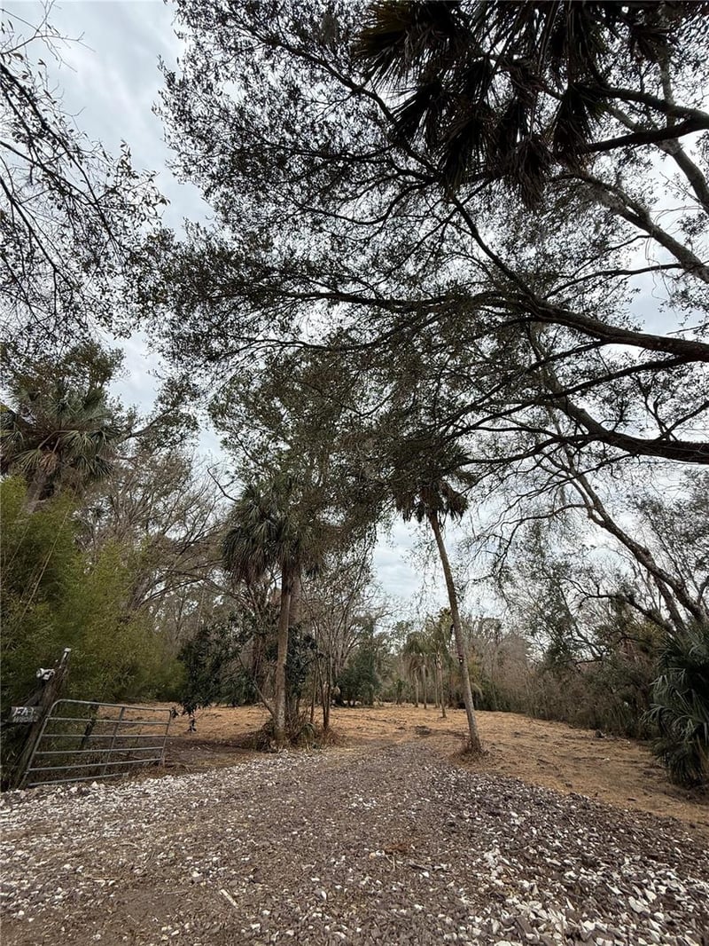 15030 N 301 Hw, Thonotosassa, FL 33592