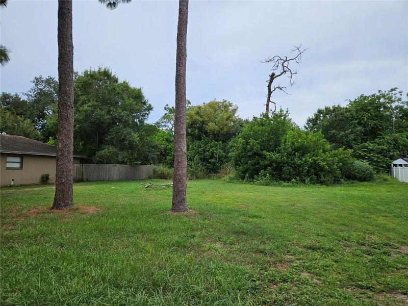 15088 Avalon Ave, Clearwater, FL 33760