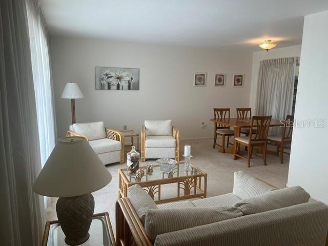 721 Bel Air Ave, Sun City Center, FL 33573
