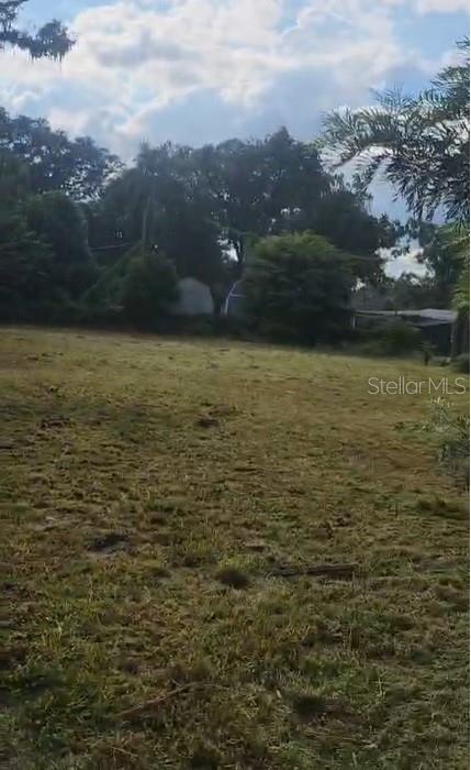 8902 N Orleans Ave, Tampa, FL 33604