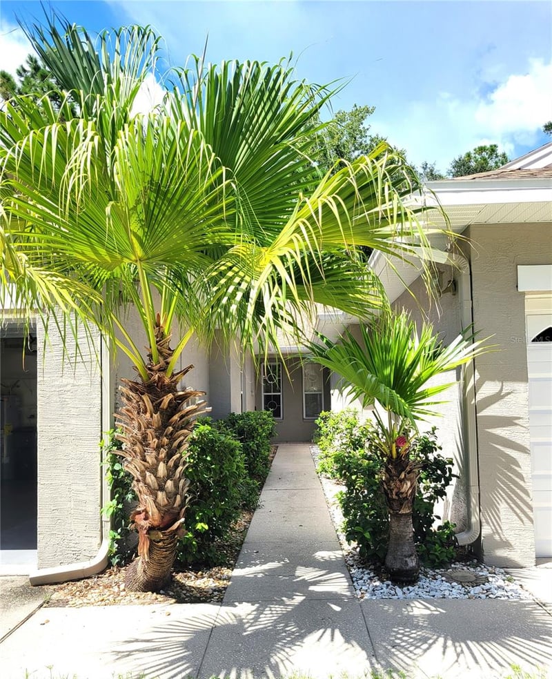 4343 Lakeshore Dr, Palm Harbor, FL 34685