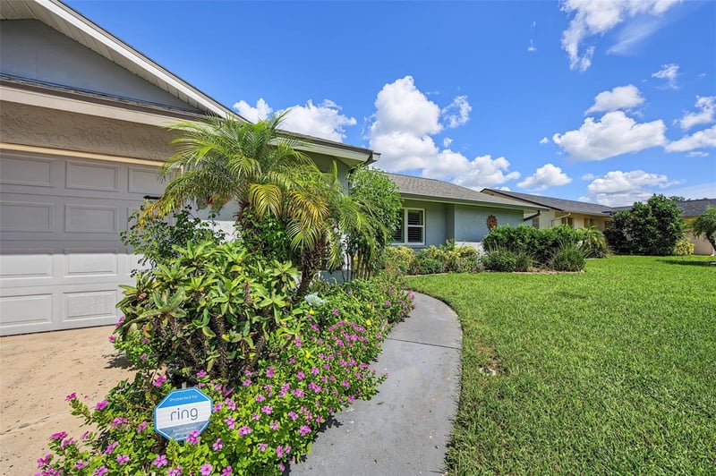 155 Seaside Ct, Palm Harbor, FL 34684