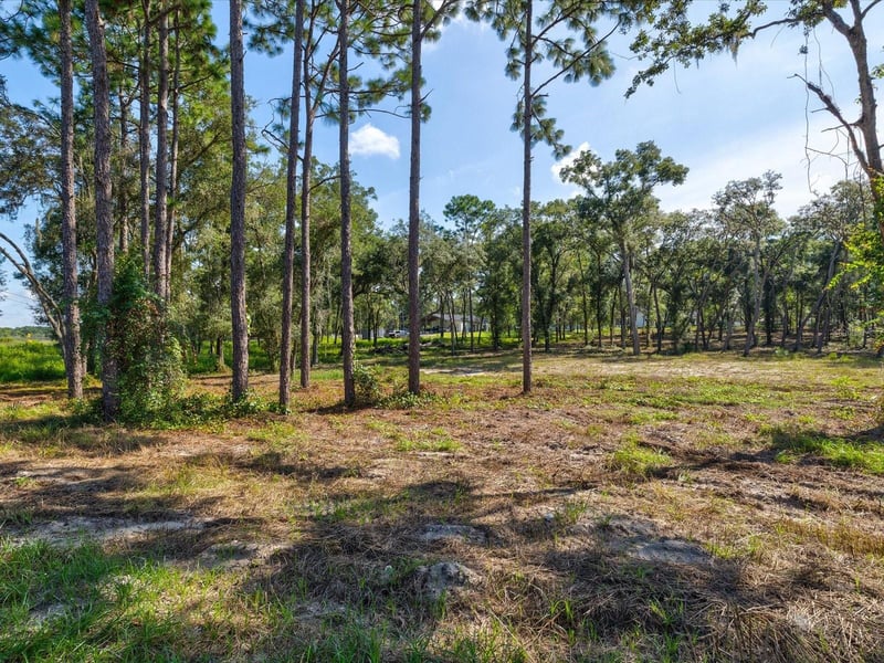 15504 Lenway Rd, Spring Hill, FL 34610