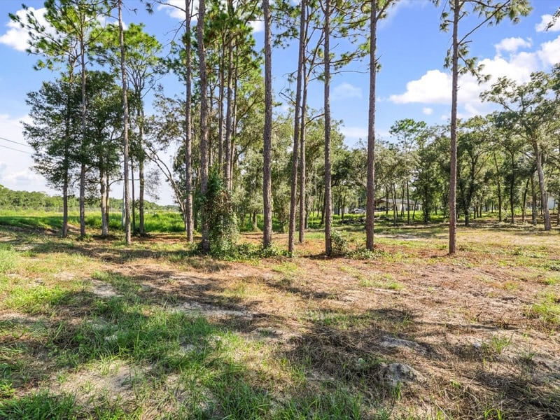 15504 Lenway Rd, Spring Hill, FL 34610