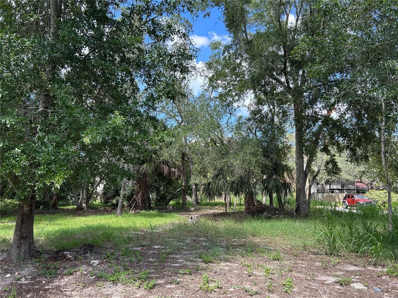 Ventnor Ave, Tarpon Springs, FL 34689