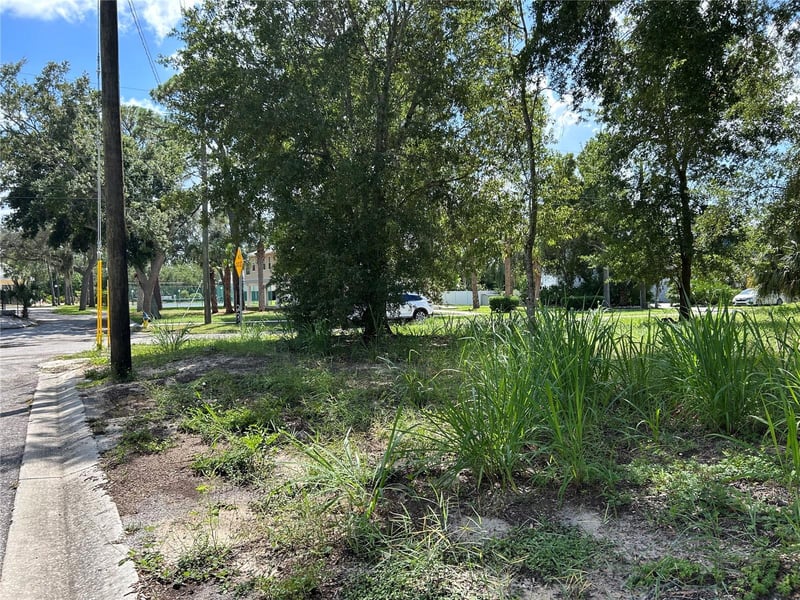 Ventnor Ave, Tarpon Springs, FL 34689