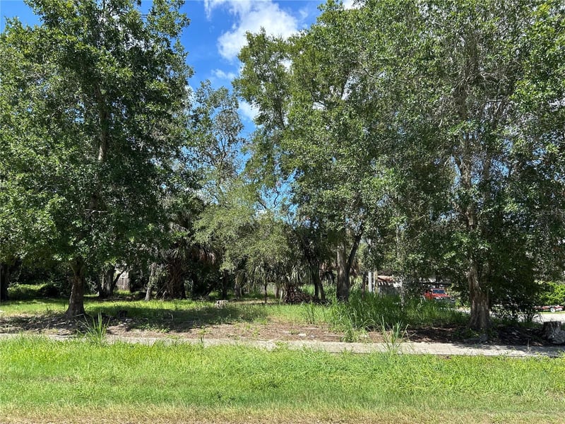 Ventnor Ave, Tarpon Springs, FL 34689