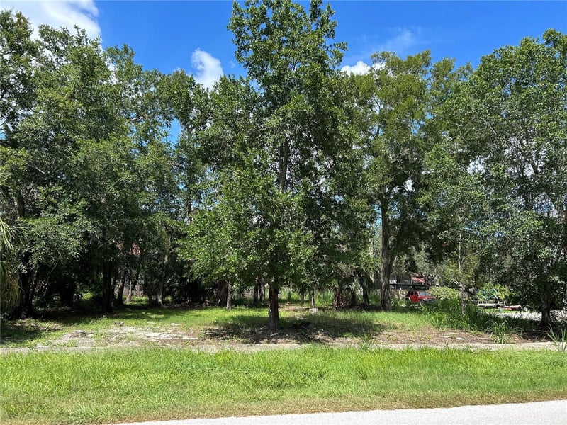 Ventnor Ave, Tarpon Springs, FL 34689