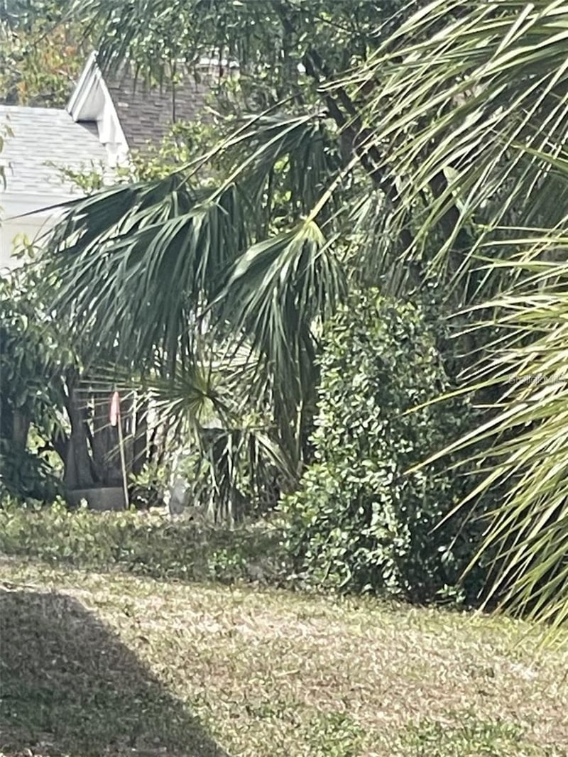 Jungle Way, Sarasota, FL 34243