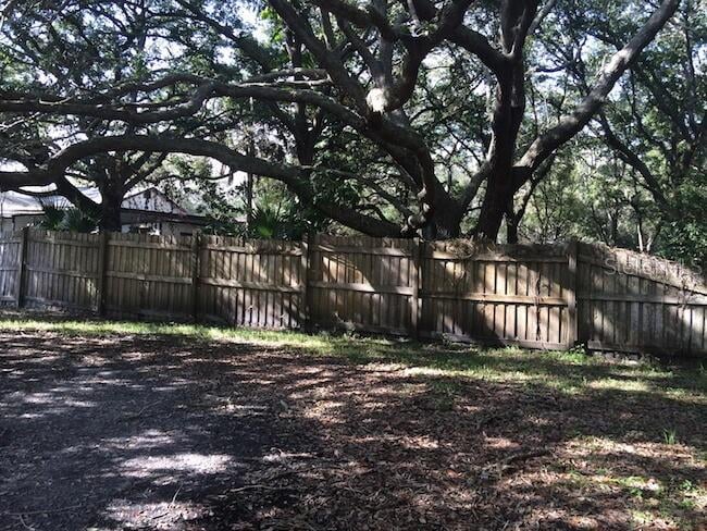 3159 Duane Ave, Oldsmar, FL 34677