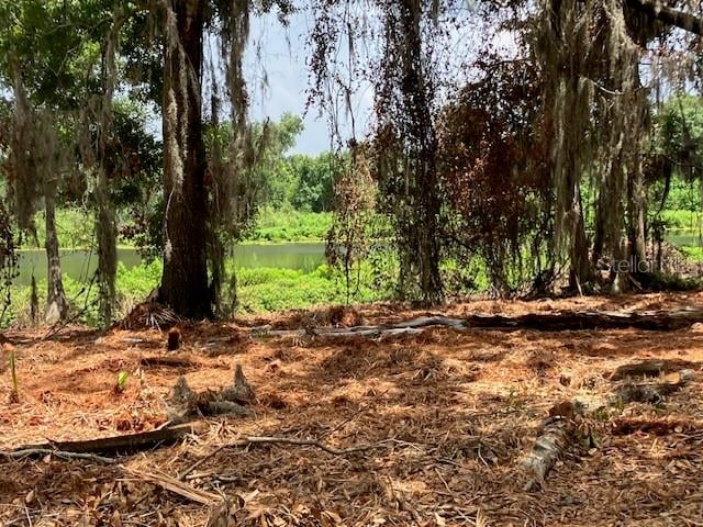 Donna Lu Dr, Odessa, FL 33556