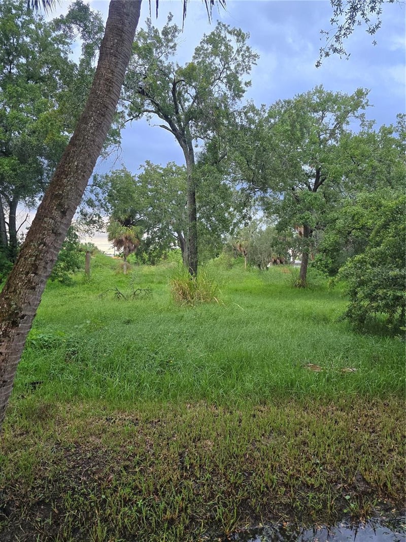 7300 S Swoope St, Tampa, FL 33616