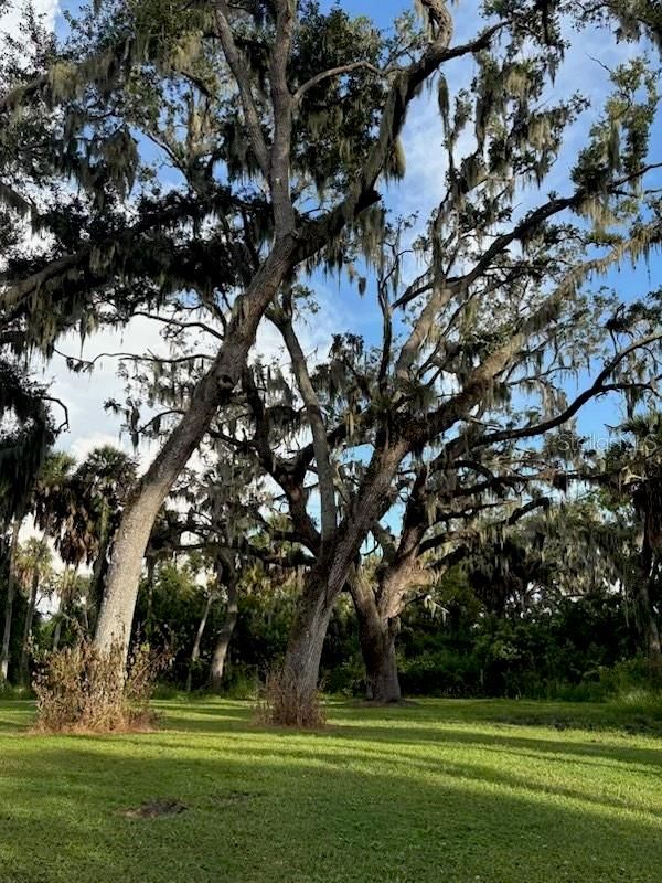 4003 57th St E, Palmetto, FL 34221