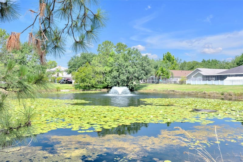 7855 Bristol Park Dr, Apollo Beach, FL 33572