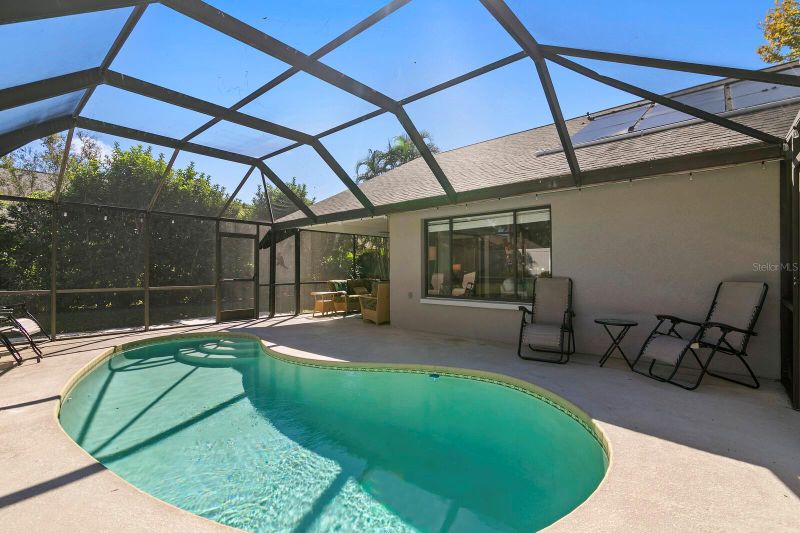3189 Pine Forest Ct, Palm Harbor, FL 34684