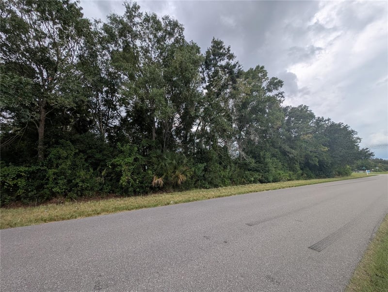 12111 Glenshire Dr, Riverview, FL 33579