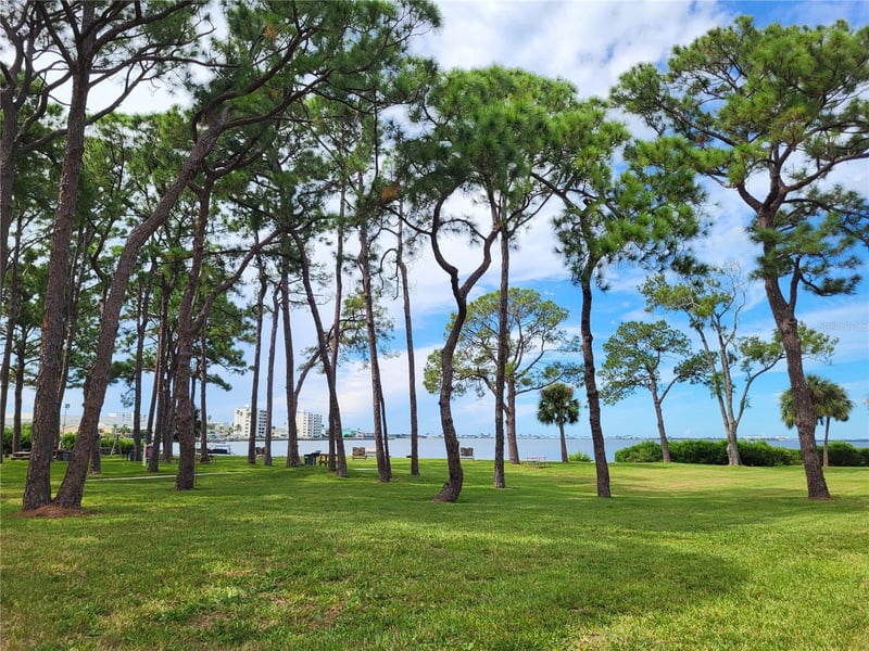 2700 Bayshore Blvd #4102, Dunedin, FL 34698