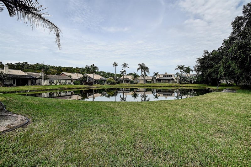 3609 Darston St, Palm Harbor, FL 34685