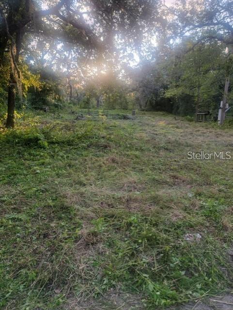10145 Lorell St, New Port Richey, FL 34654