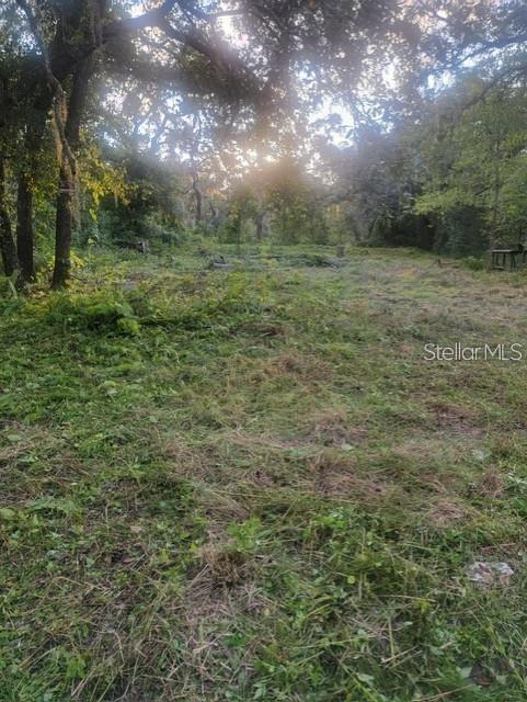 10145 Lorell St, New Port Richey, FL 34654
