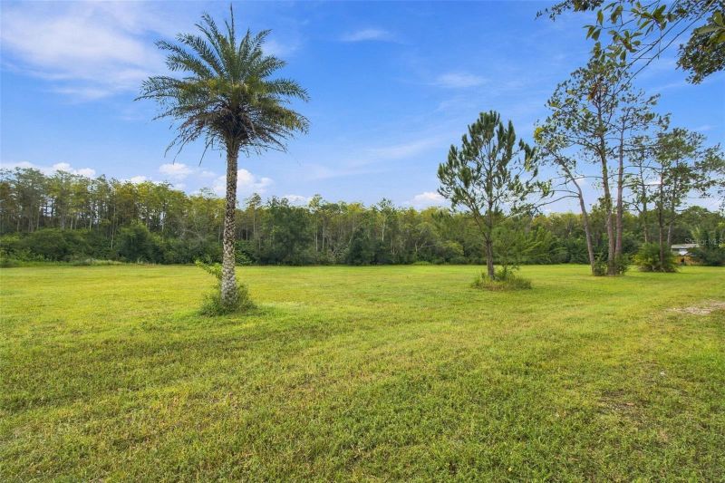 19135 N Dale Mabry Hw, Lutz, FL 33548