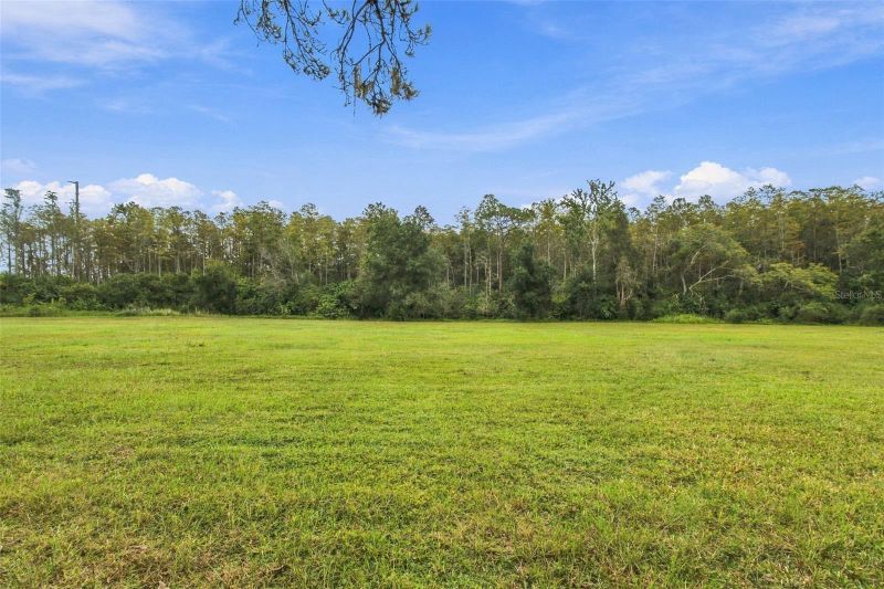 19135 N Dale Mabry Hw, Lutz, FL 33548