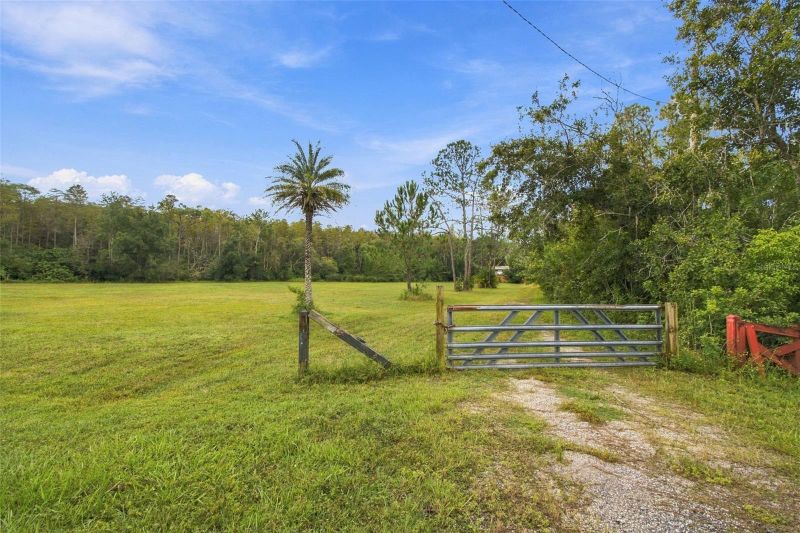 19135 N Dale Mabry Hw, Lutz, FL 33548