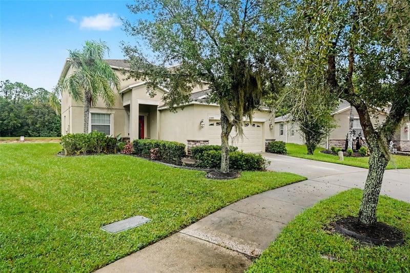 20443 Autumn Fern Ave, Tampa, FL 33647