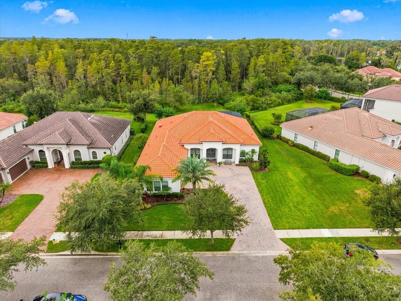 17314 San Aringo Pl, Lutz, FL 33548