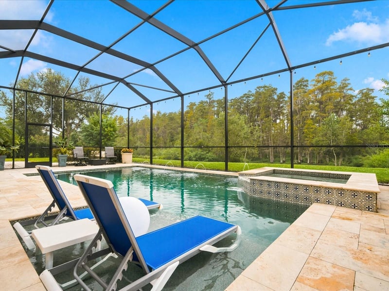 17314 San Aringo Pl, Lutz, FL 33548