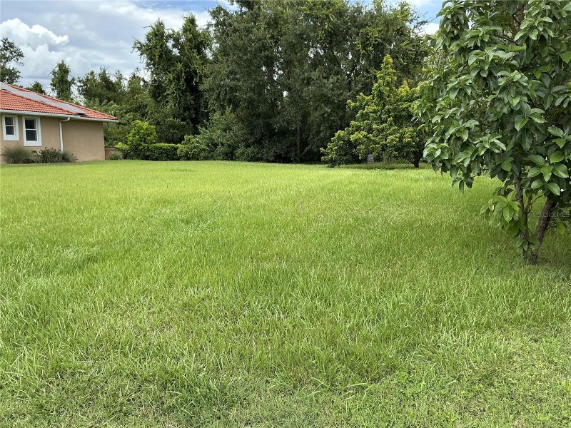 21049 Los Cabos Ct, Land O Lakes, FL 34637