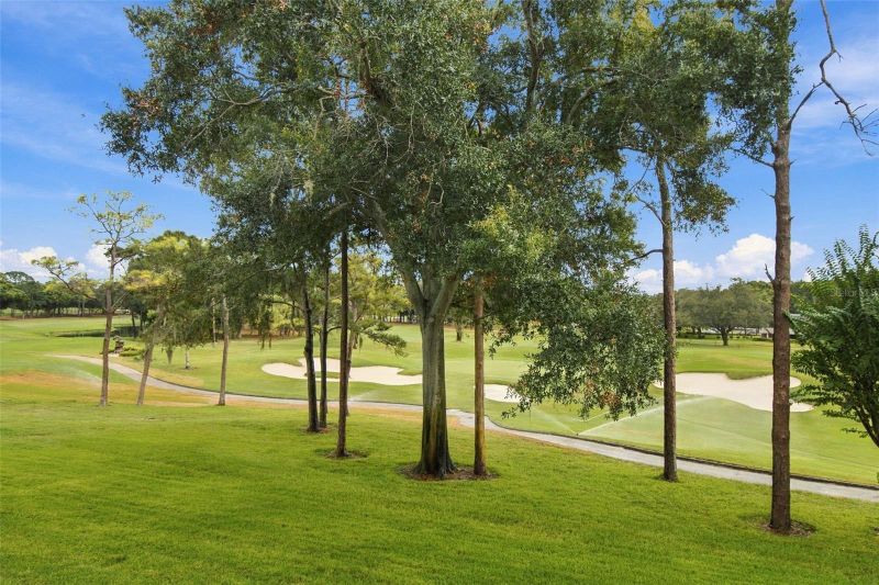 36750 Us Highway 19 N #13217, Palm Harbor, FL 34684