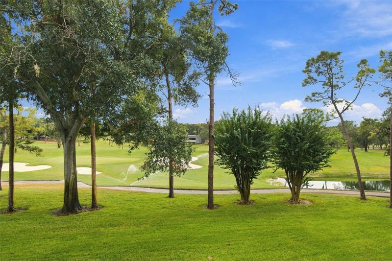 36750 Us Highway 19 N #13217, Palm Harbor, FL 34684