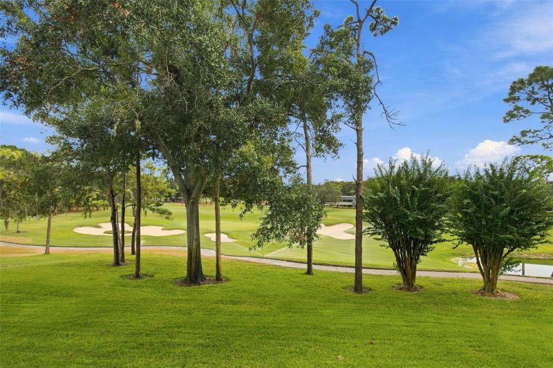 36750 Us Highway 19 N #13217, Palm Harbor, FL 34684