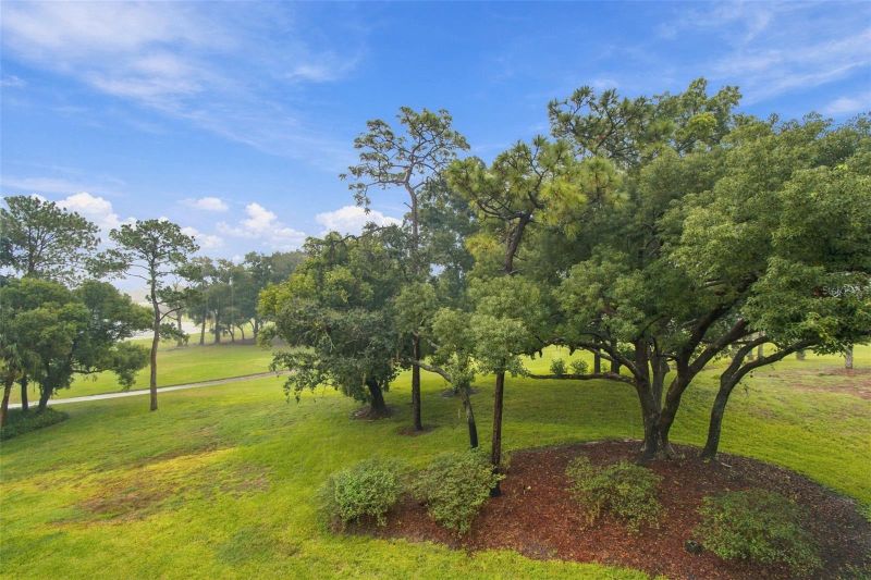 36750 Us Highway 19 #23308, Palm Harbor, FL 34684