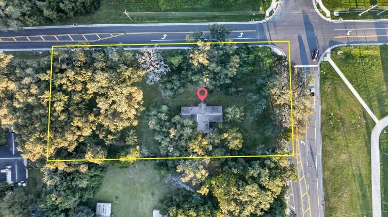 10019 Curley Rd, San Antonio, FL 33576