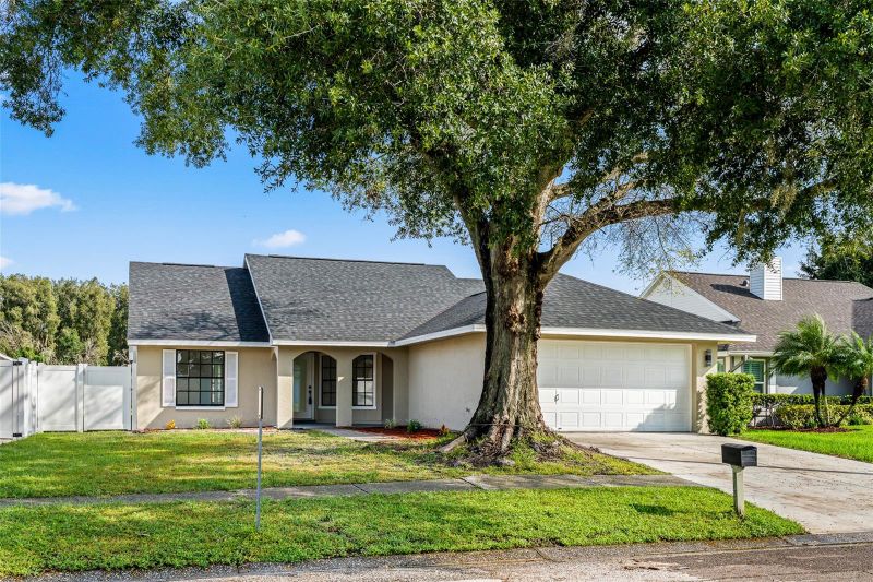 7131 Hollowell Dr, Tampa, FL 33634