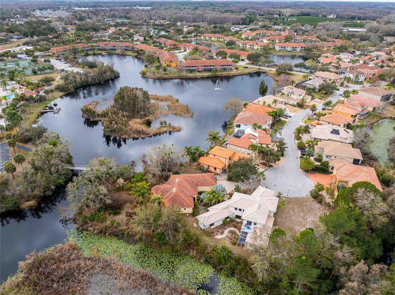 21150 Los Cabos Ct, Land O Lakes, FL 34637