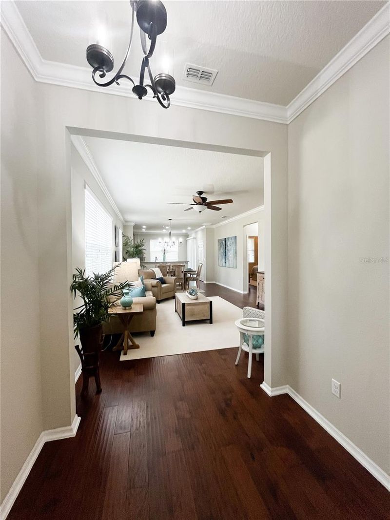 30348 Lipizzan Ter, Mount Dora, FL 32757