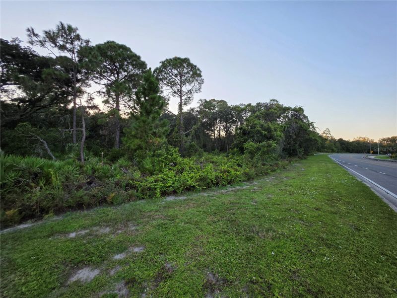 7727 Rowan Rd, New Port Richey, FL 34653