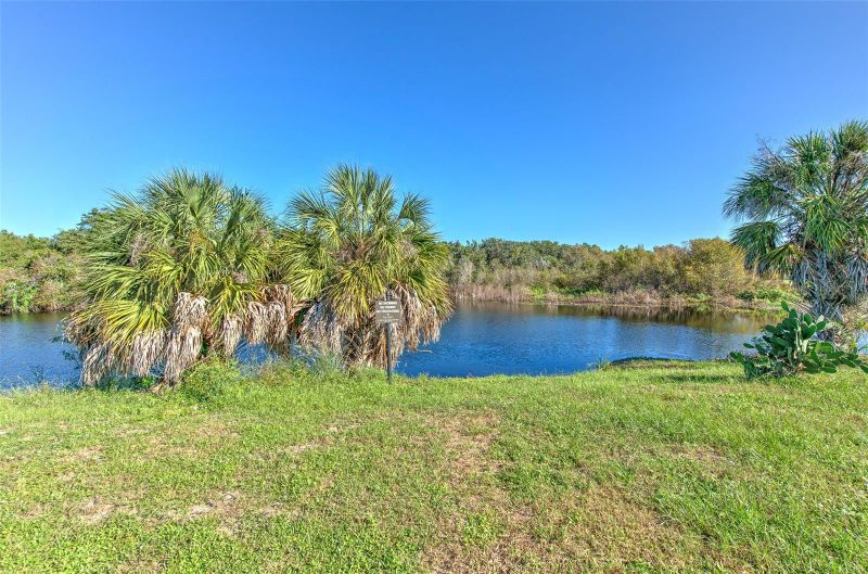 8804 Sandy Plains Dr, Riverview, FL 33578