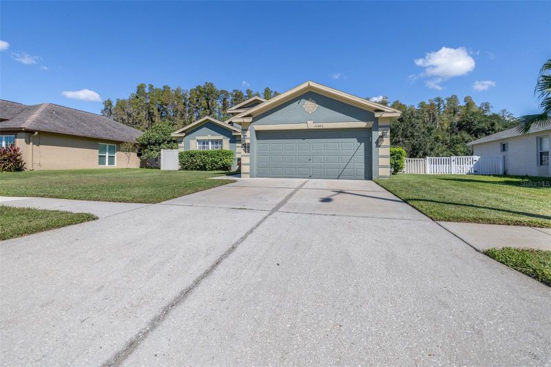 30843 Luhman Ct, Wesley Chapel, FL 33543