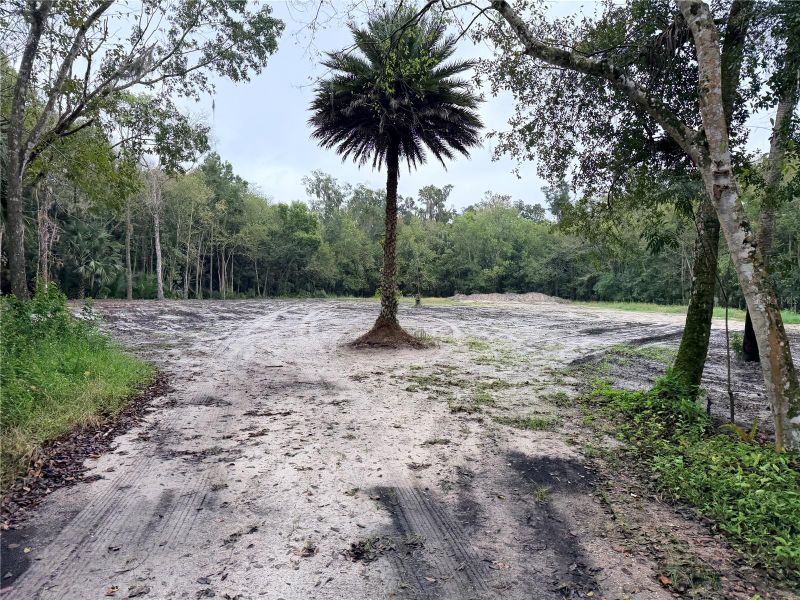 2295 Canal St, Oviedo, FL 32765