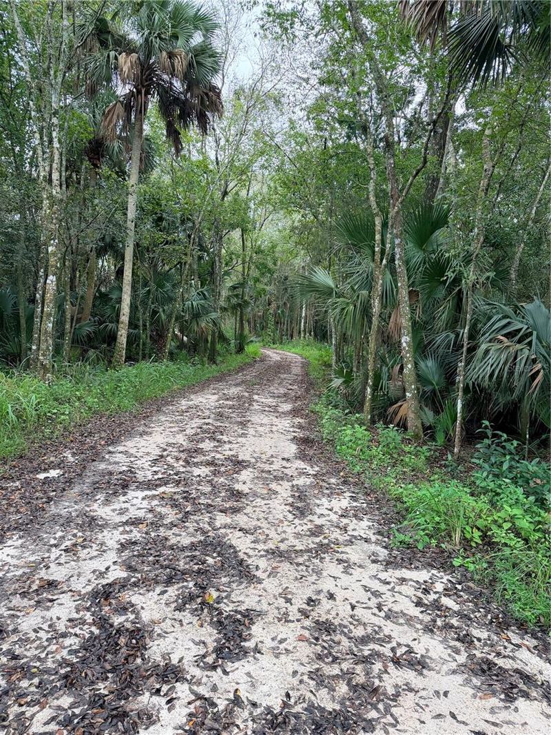 2295 Canal St, Oviedo, FL 32765