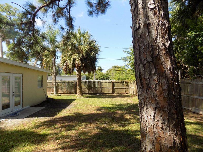 6623 Sandra Dr, Port Richey, FL 34668