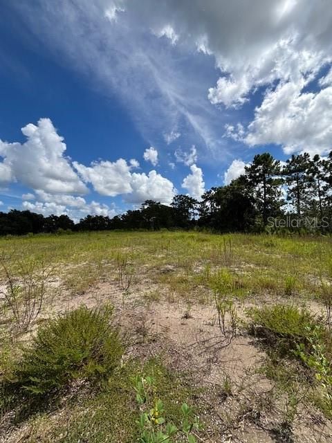 Babbitt Ave, Orlando, FL 32833