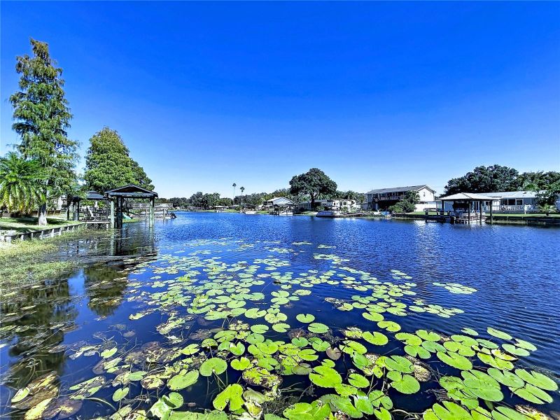3202 Pine Shadow Dr, Land O Lakes, FL 34639