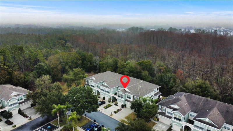 2210 Park Crescent Dr, Land O Lakes, FL 34639