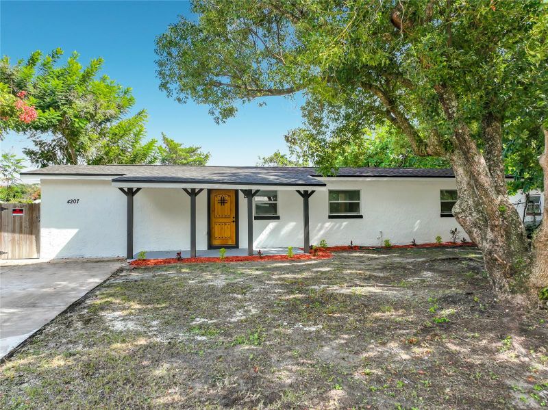 4207 Seybold Ave, Orlando, FL 32808
